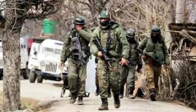 J&K: Two hybrid terrorists who killed non-local labourers in Shopian nabbed by police