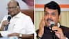 Political rivals Devendra Fadnavis and Sharad Pawar to meet over dinner ahead of MCA polls 