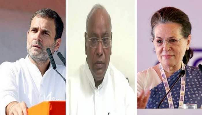 &#039;He represents democratic vision of India’: Congress leaders on Mallikarjun Kharge&#039;s win