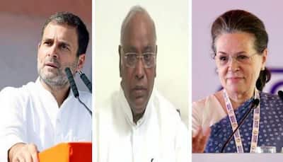 'He represents democratic vision of India’: Congress leaders on Mallikarjun Kharge's win