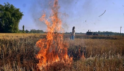 Punjab stubble-burning: Three-fold jump recorded in state in 9 days