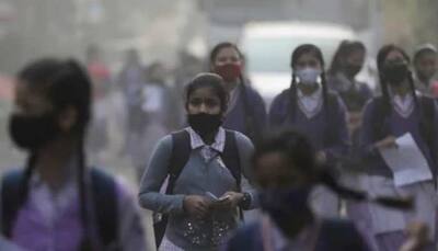 Delhi's air quality likely to deteriorate to 'very poor' ahead of Diwali; various curbs imposed