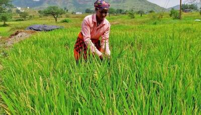 India's food inflation may remain high due to unseasonal rain, crop losses: Report