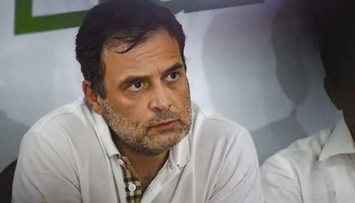 Gujarat Assembly polls: BJP leader compares Rahul Gandhi to specially-abled artist