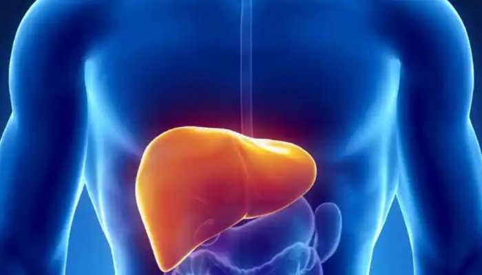 Study discovers the key to unlocking therapeutics for sex-biased diseases