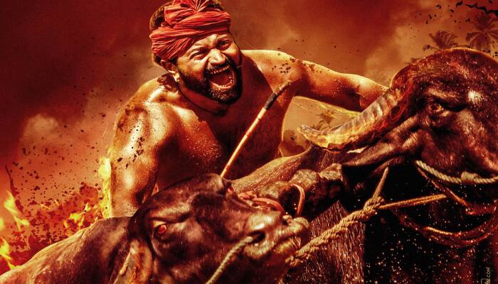 'Kantara' continues its jump at the box office with a collection of Rs 2.55 cr net in the Hindi market!