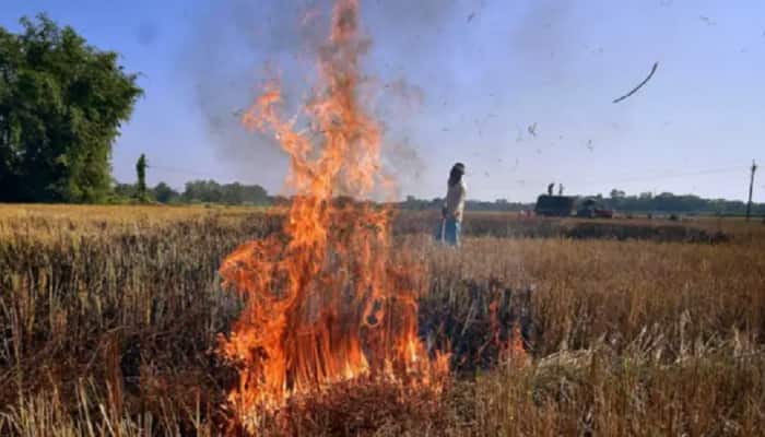 Punjab speaker announces Rs 1 lakh to villages of his constituency not burning straw