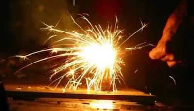 Delhi firecracker ban: Rules flouted but over 17,000 kg crackers seized in Oct