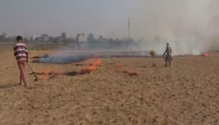 Punjab records highest Stubble-burning cases this season; 1,238 farm-fires on Oct 26