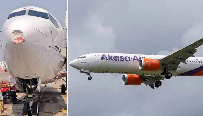 Akasa Air&#039;s Boeing 737 MAX suffers damage after bird hit on Ahmedabad-Delhi flight