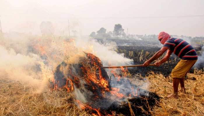 &#039;A matter of concern&#039;: CAQM on increased incidents of stubble burning in Punjab 
