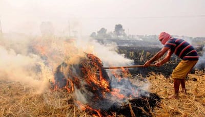 'A matter of concern': CAQM on increased incidents of stubble burning in Punjab 