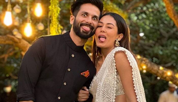Shahid Kapoor reveals that he only picks the stories that are of Mira&#039;s &#039;script sense&#039;!