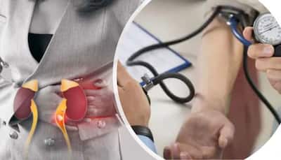 High blood pressure dangers: Effect of uncontrolled high bp on the kidneys
