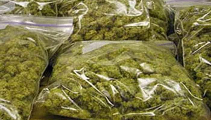 Kerala police seize ganja from school's security room; staff absconding |  India News | Zee News