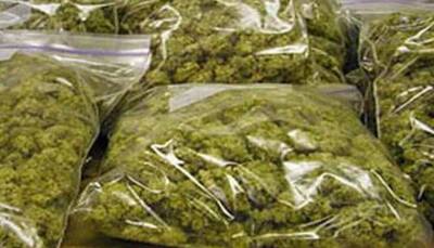 Kerala police seize ganja from school's security room; staff absconding