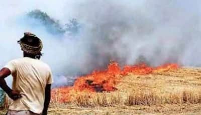 Bhagwant Mann govt acts tough on stubble burning! 4 agri officers suspended for negligence