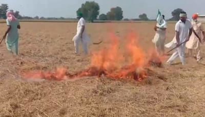 Punjab records 2,131 farm fires, highest so far this season Chandigarh