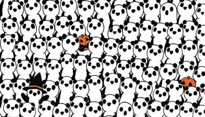 Optical Illusion Test: Spot the 3 Halloween ghosts amid the pandas!