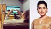 Is Myositis, the disease Samantha Ruth Prabhu is diagnosed with, INCURABLE? Doctor on symptoms, care and more