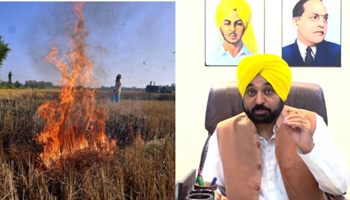 &#039;Why concerns ONLY for...&#039;: Punjab CM Bhagwant Mann lashes out at Modi Government over THIS