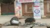 bharatpur canteen