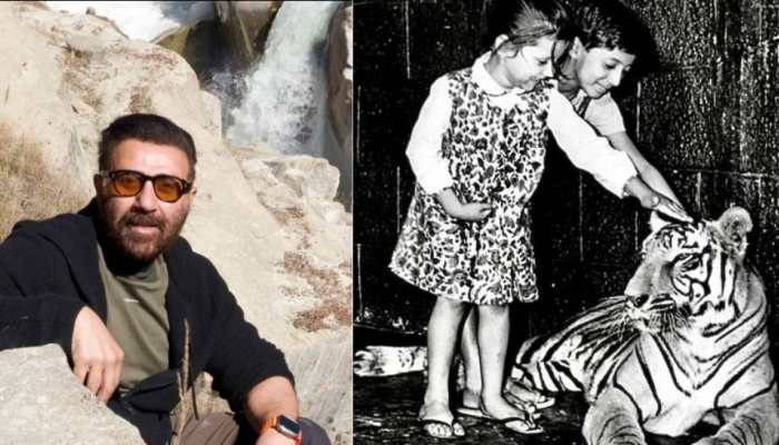 Sunny Deol recalls visiting father Dharmendra's film set to meet a tiger, shares pic