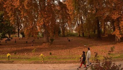 It’s autumn again and Kashmir has turned into a red carpet - SEE PICS