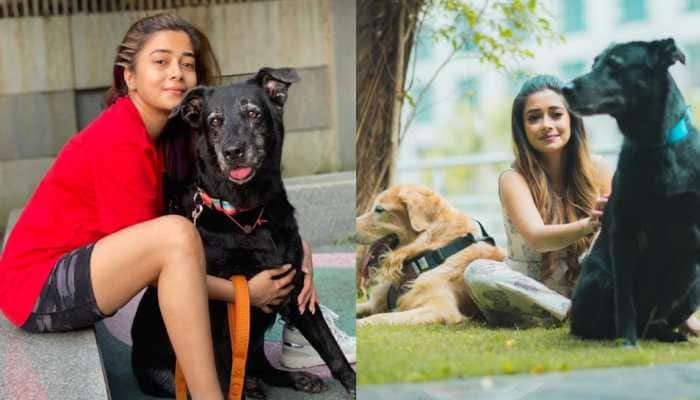 Bigg Boss 16: Tina Datta&#039;s beloved pet Rani passes away, actress breaks down on hearing the news!