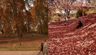 Autumn in Kashmir brings tourism boost; over 25 lakh tourists visited so far