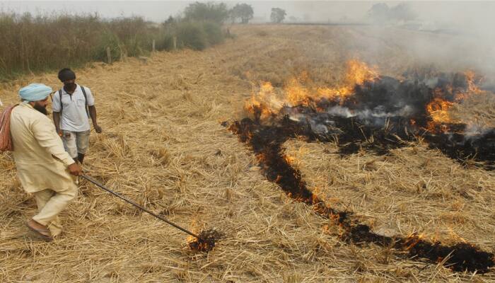 Revenue official held hostage by farmers in Punjab over stubble burning