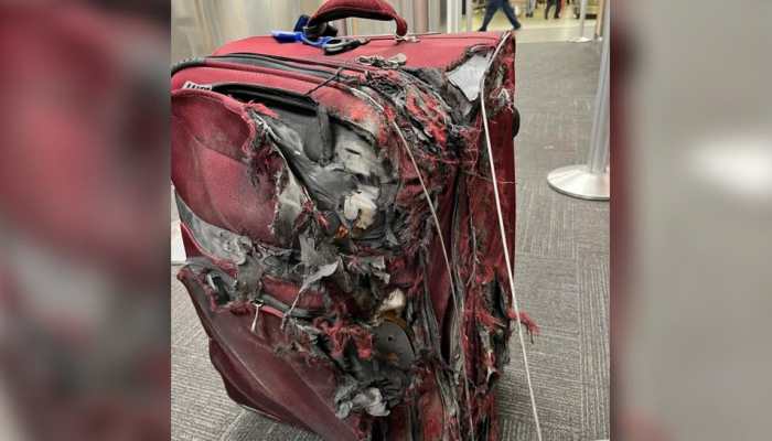 Airline delivers passenger&#039;s luggage in TERRIBLE condition on landing, Internet reacts with sarcasm