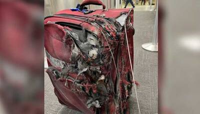 Airline delivers passenger's luggage in TERRIBLE condition on landing, Internet reacts with sarcasm