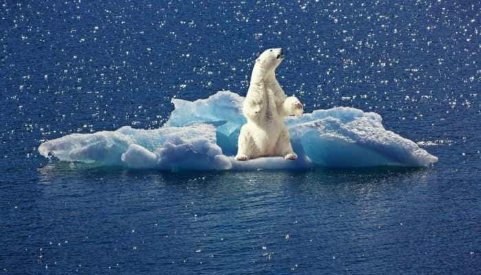 UN COP27 puts climate compensation on agenda for first time -- Details Inside