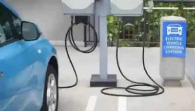 Over 50 percent Indian EV buyers satisfied with battery range, concerned about quality: Report