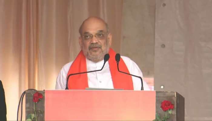 &#039;Do you see anything besides &#039;mother-son&#039; when you look at Congress&#039;: Amit Shah&#039;s jibe at Rahul, Sonia Gandhi