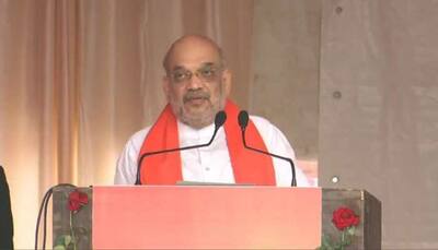 'Do you see anything besides 'mother-son' when you look at Congress': Amit Shah's jibe at Rahul, Sonia Gandhi