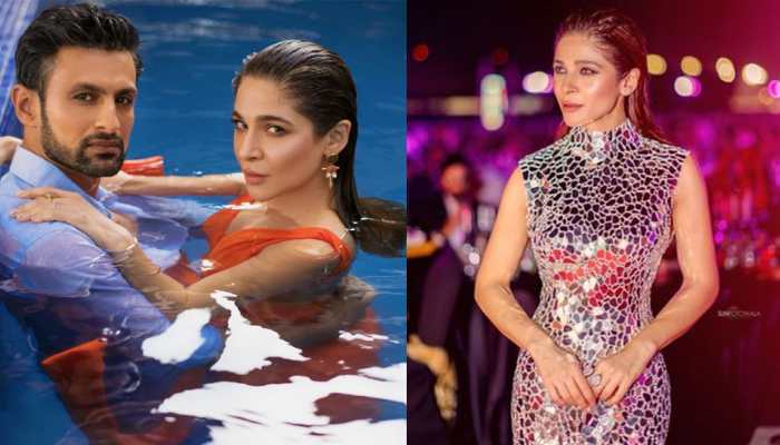 Pakistani actress Ayesha Omar behind Sania Mirza-Shoaib Malik divorce? Her BIG controversies!