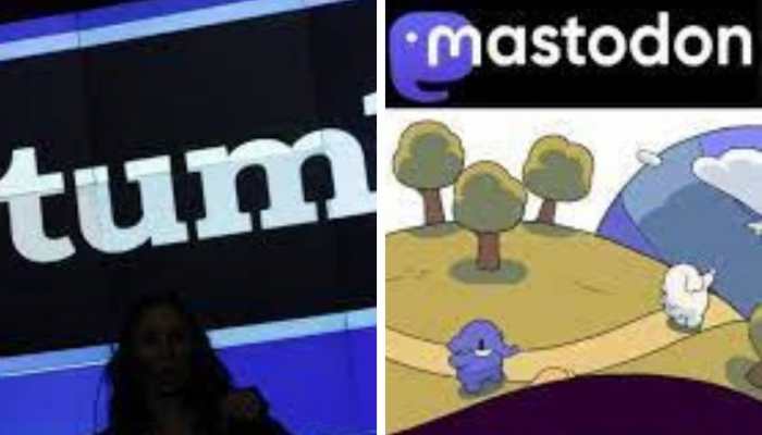 Mastodon, Tumblr see a meteoric rise amid Twitter uncertainty: Report