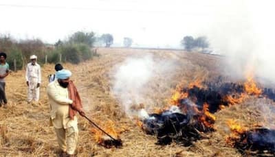 Delhi Pollution: NHRC blames Delhi, UP, Haryana, Punjab for stubble burning cases