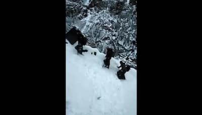 Watch: Polling team walks 15 kms over 6 hrs in thick blanket of snow at 12,000 ft in Himachal