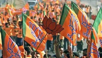 Delhi MCD Polls: BJP's 1st list out - 232 candidates announced. Check list here