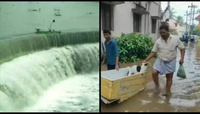 Tamil Nadu: Dams overflow, cities waterlogged amid heavy rains - WATCH