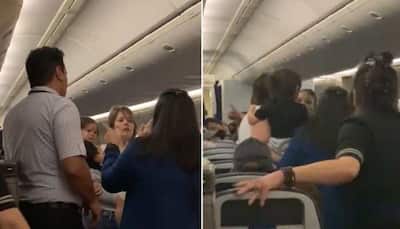 Cabin crew assaulted by passenger on United Airlines flight, hospitalised due to injuries: Watch video