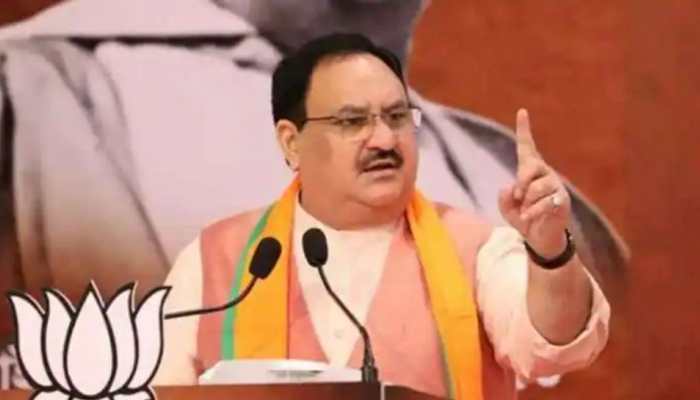 PM Modi brought into existence politics of report card: JP Nadda