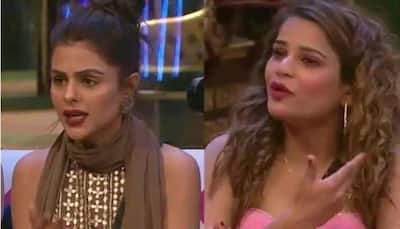 Bigg Boss 16, Day 47 written updates: Archana gets into a BIG fight with Priyanka, Tina and Shalin sort out their differences