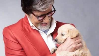 Amitabh Bachchan pens emotional note after his pet dog’s demise, says, ‘Humare ek chote se dost...’ 