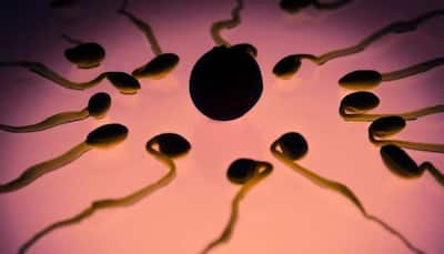 Sperm count in Indian men show a sharp decline: Study