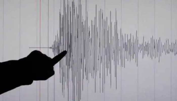 Himachal Pradesh jolted by 4.1 magnitude earthquake; no casualties reported
