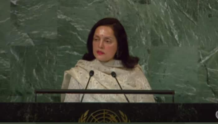 Security Council still doesn&#039;t reflect current geo-political landscape, says India&#039;s Permanent Representative to UN Ruchira Kamboj 